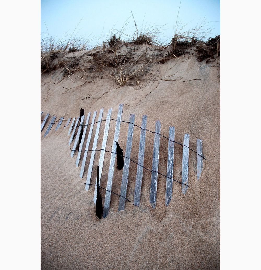 Metal Print - Buried Fence